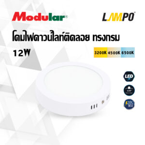 โคมไฟดาวน์ไลท์ติดลอย แบบกลม 12W